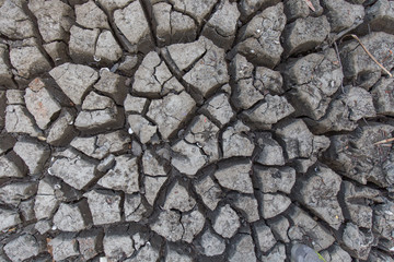 Dry ground texture