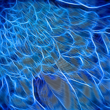 Natural background of a fragment of the wing of a parrot closeup neon colors