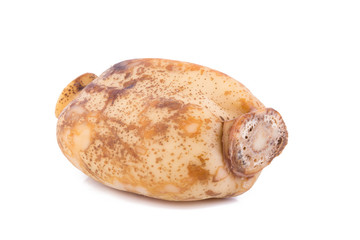 Lotus root on white background