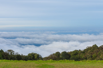 Naklejka premium Beautiful viewpoint of mist during the rainy season at Doi Inthanon National Park, Chom Thong, Chiang Mai, Thailand