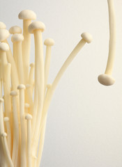 Mushrooms