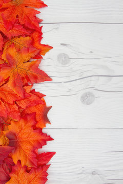 Autumn Time Background