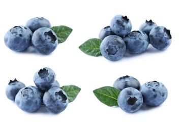 Collage of blueberries isolated on a white