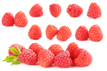 Red raspberry isolated on a white background