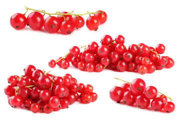 Red currants isolated on a white background