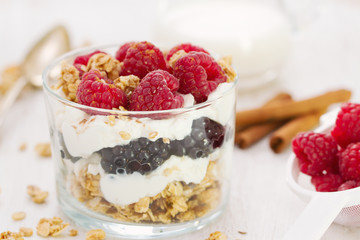 granola with cheese and berries in cup