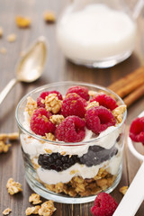 granola with cheese and berries in cup