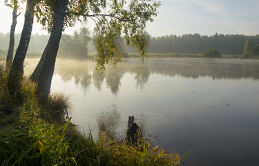 Autumn morning