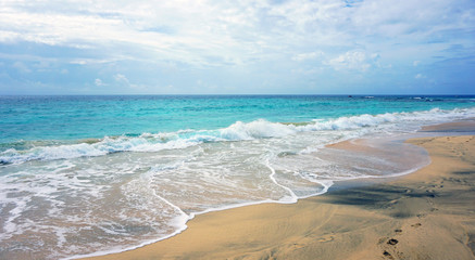 tropical beach in africa