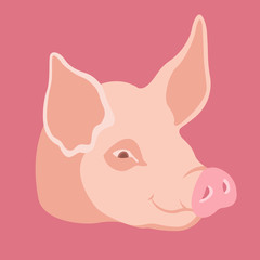 pig head vector illustration style Flat face