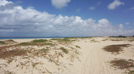 Fototapeta na wymiar beach of santa maria