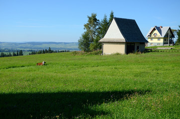 Obraz premium The village in the Tatra Mountains (Poland)