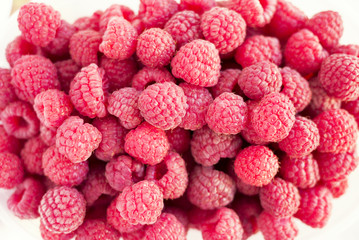 Dozens of fresh raspberry fruits at the sunny day