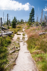 hiking trail to Trojmezna hill in Sumava mountains on czech-bavarian borders