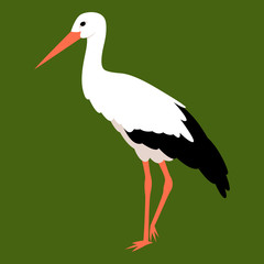 Stork vector illustration style Flat