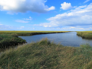 Salzwiesen in der Nähe des Leuchtturms Westerheversand