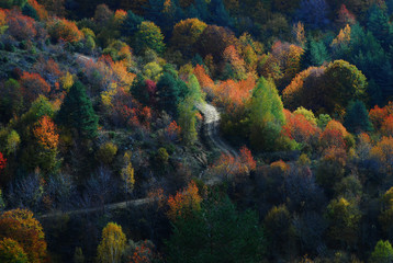 Naklejka na ściany i meble Picturesque fall scenery