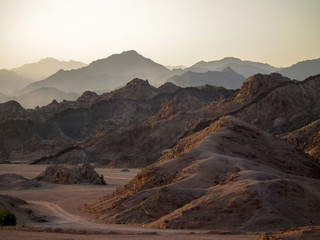 Meat cooking on barbecue
