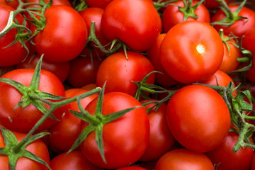 red tomatoes background. Group of tomatoes