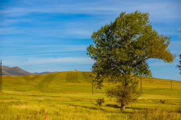 Fototapeta na wymiar Amazing landscape with stand alone tree, Armenia