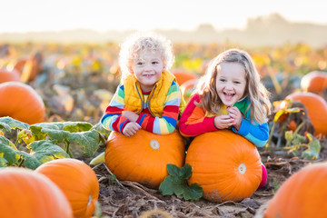 Kids picking pumpkins on Halloween pumpkin patch