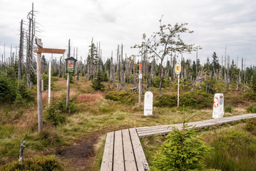 Marfleckl bellow Lusen hill on bavarian-czech borders in Bavarian Forest with timber pathway and...