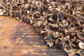 Dried honey fungus (armillaria mushrooms) on old wooden background 