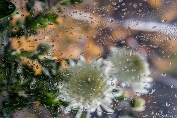 Raindrops on a window pane. Autumn behind a window. Selective focus.