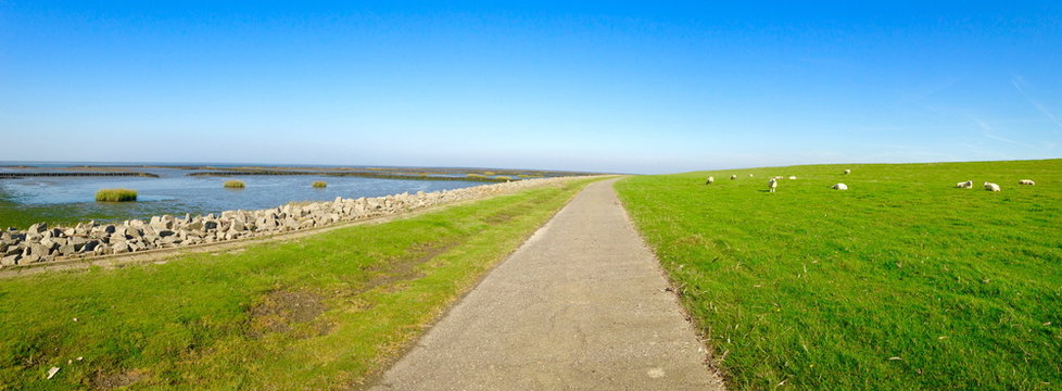 Nationalpark schleswig-holsteinisches Wattenmeer bei Hedwigenkoog (Büsum)