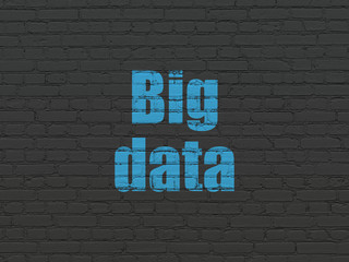 Fototapeta na wymiar Data concept: Big Data on wall background