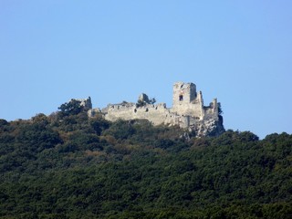 Fototapeta premium Castle on hill and deciduous forest under this castle, old historical building