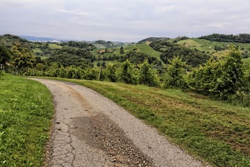 Fototapeta na wymiar Old asphalt road between vineyards