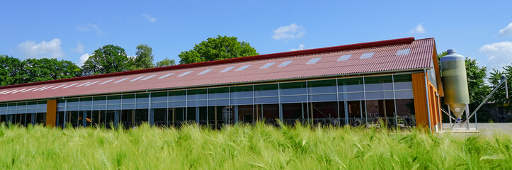 Open, modern cowshed, stable properties