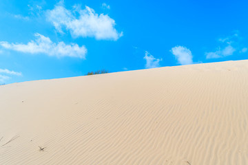 Sand dune against sunny blue sky with white clouds, Sylt island, Germany