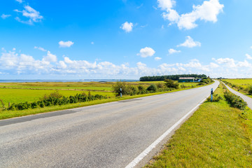 Road along green fields to Keitum village  on Sylt island, Germany