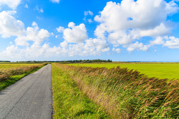 Rural bike road along green farming fields in countryside landscape of Sylt island near Keitum village, Germany