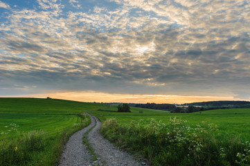 Polna droga poprzez pola © Zbigniew