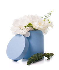 Bouquet of white hydrangeas in round  blue box 