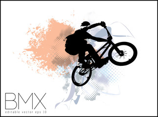 Naklejka na ściany i meble Vector image of BMX cyclist