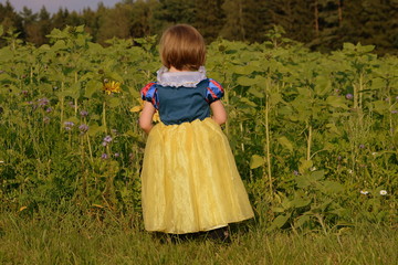 kleine Prinzessin, kleines Mädchen im Prinzessinenkleid von hinten im Grünen