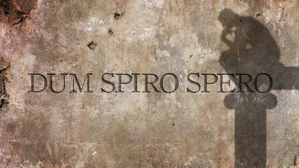 Dum spiro spero. A Latin phrase that means means While I breathe, I hope.