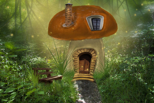 magic mushroom house