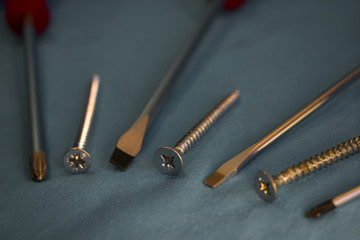 Screws and Screwdrivers  