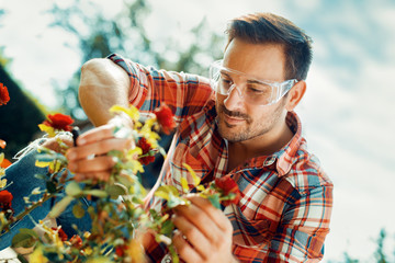 Gardening