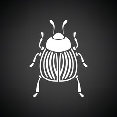 Colorado beetle icon