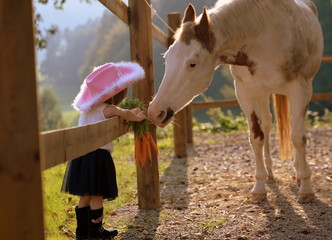 Freunde fürs Leben, kleines süßes Cowgirl mit pinkem Hut füttert Westernpferd mit Möhren
