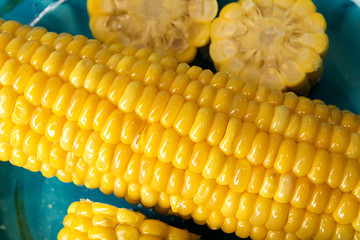 Boiled corn on deep blue plate