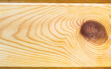 wooden background with a pattern of fibers and cut the knot