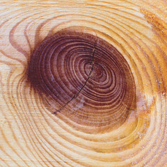 background with a pattern and a knot of wood fibers