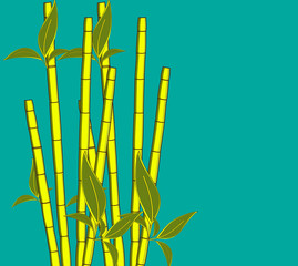 Ecology Sugarcanes